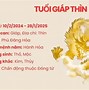 2005 Năm 2024 Hợp Màu Gì