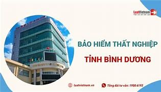 Địa Chỉ Làm Bảo Hiểm Thất Nghiệp Tại Hải Phòng